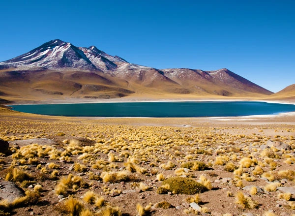 Lagunas Altiplánicas